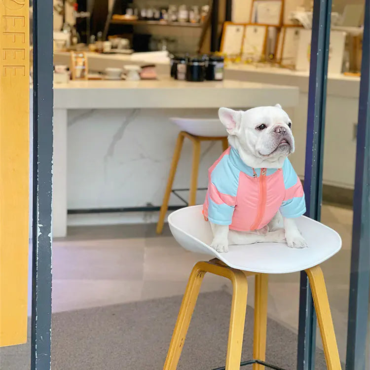 Cozy Thickened Pet Winter Coat