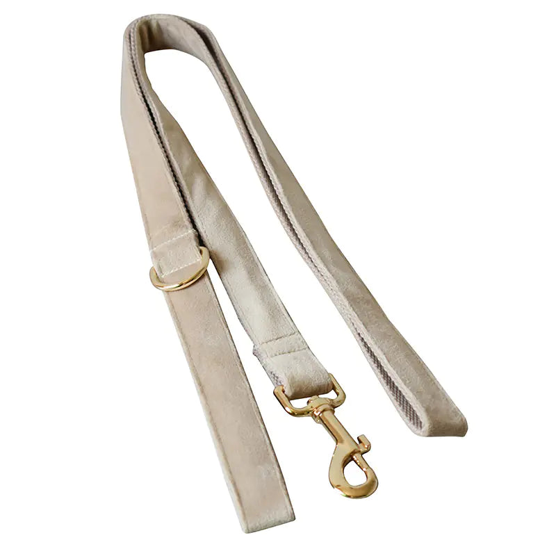 Chic Velvet Dog Collar